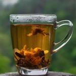 Ayurvedisches Wasser mit Gewürzen